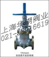 自動化與可靠性的完美結合：tpz42h自動調平油封閘閥解析